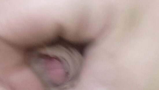 Член